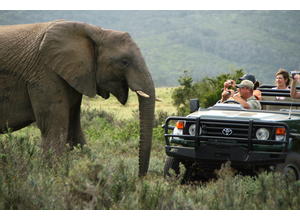 Game drives
